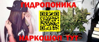 мяу мяу мука Лесосибирск